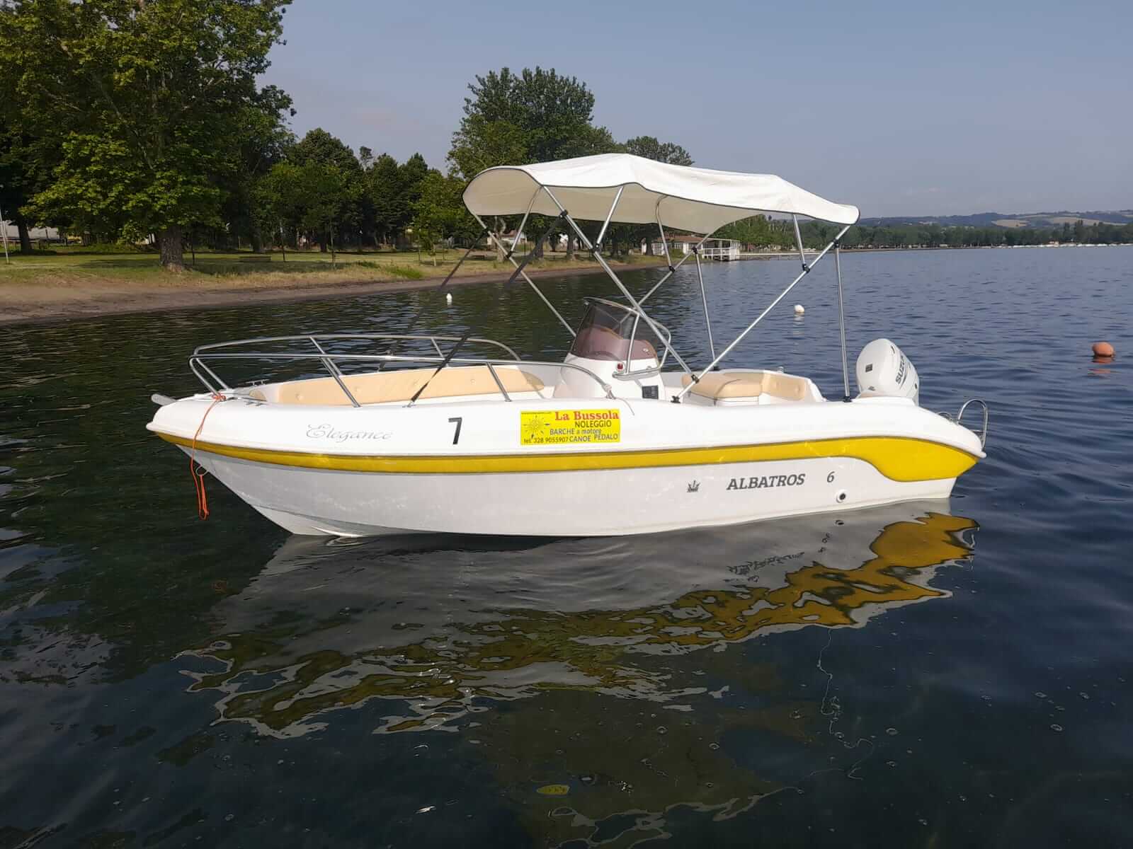 Albatros 565